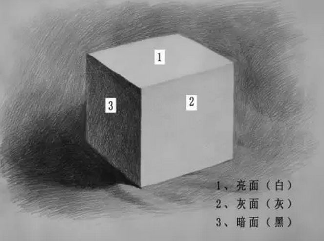 素描的黑白灰三大面指什么?