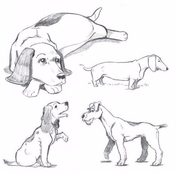 动物素描 2000个适合所有人学习的绘画教程